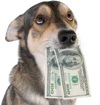 Dog with Money